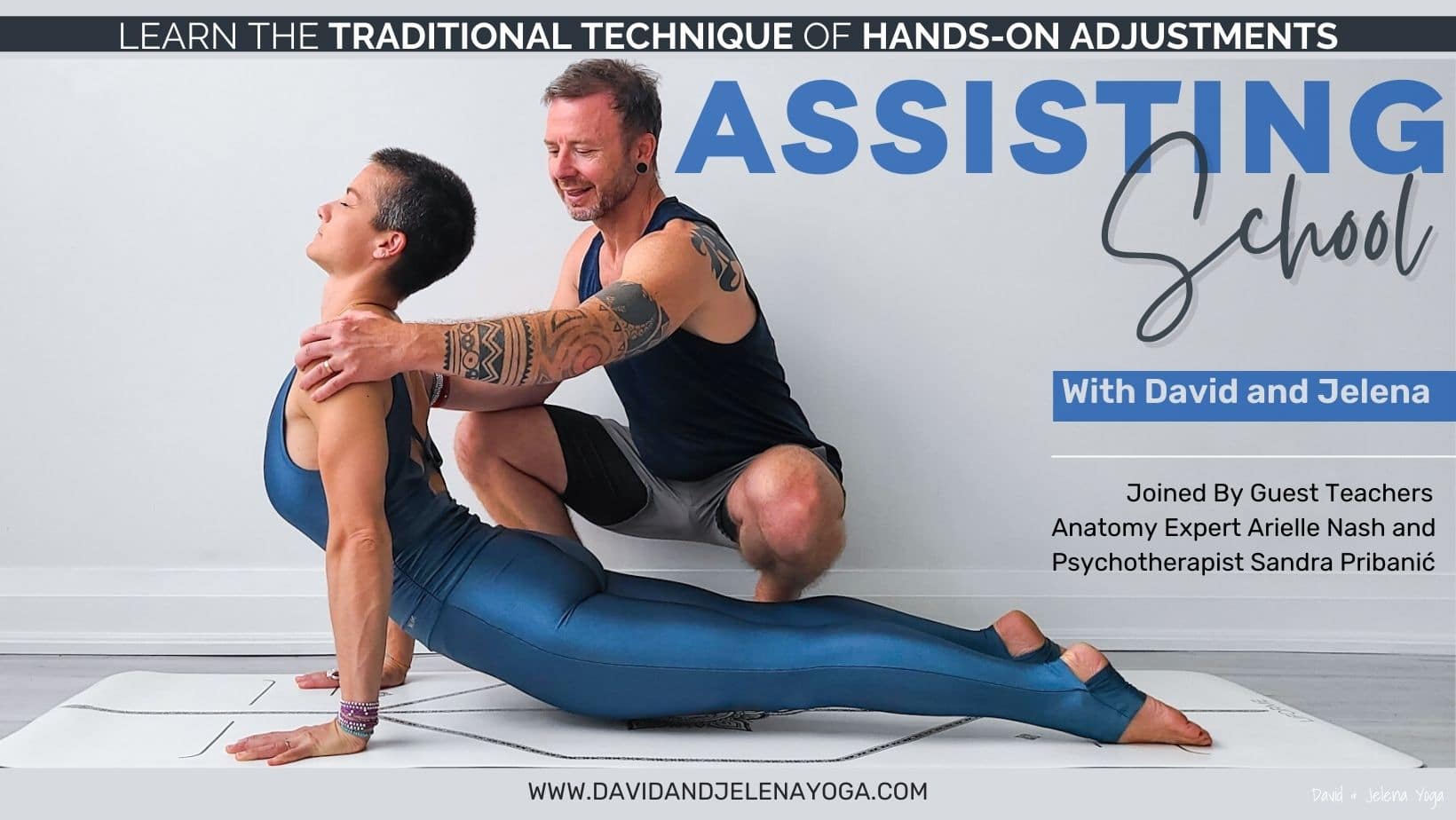 Hands-on Assists & Adjustments Intensive — Yoga Moves