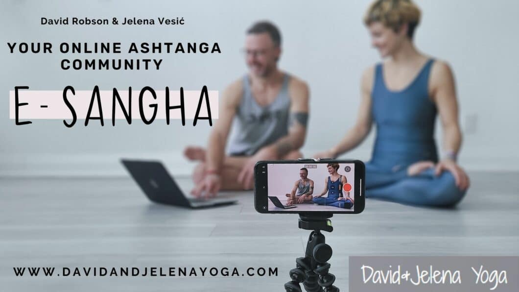 David and Jelena teaching online