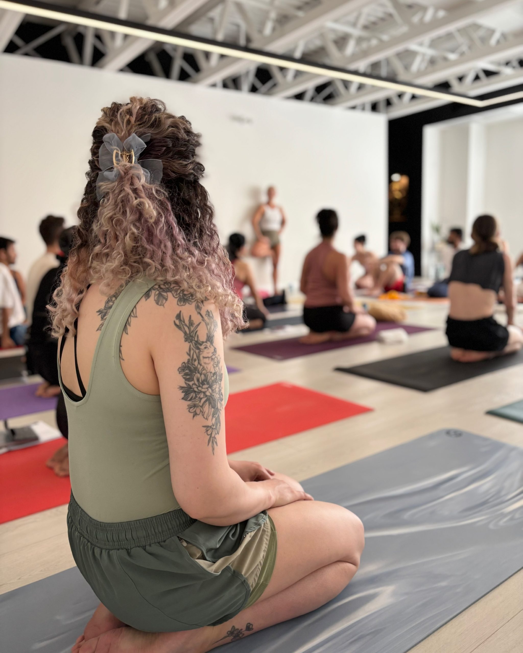 Ashtanga Yoga Centre Toronto, AYCT, David Robson Jelena Vesic, Intensive, Immersion, Primary series, Ashtanga yoga, Mysore