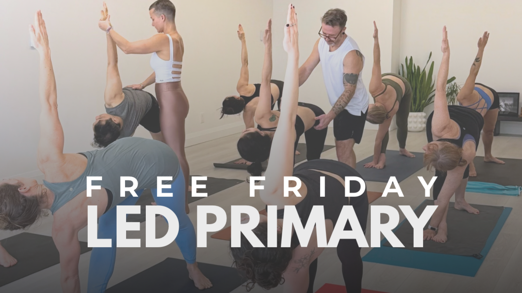 ashtanga yoga, led primary, yoga, mysore, david robson, jelena vesic, free, community, karma