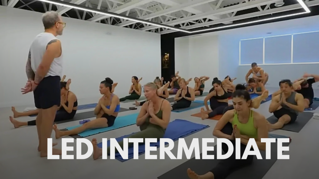 Led intermediate, intermediate series, ashtanga yoga, mysore, david robson, jelena vesic, online class, livestream