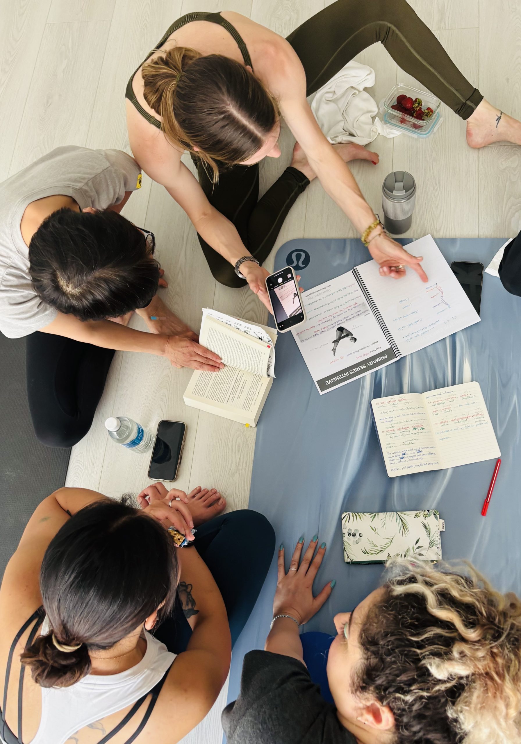 Ashtanga yoga centre of toronto, Ashtanga yoga, Mysore yoga, Intensive, Workshop, immersion, course, David robson, Assisting, assisting school, teaching, study, jelena vesic, david and jelena, students, practitioner