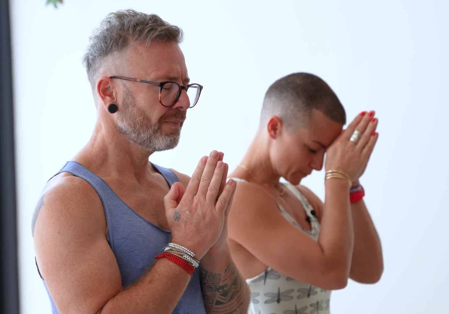 led_ver_2 (1080p) - frame at 74m30s Join David Robson & Jelena Vesić for this special 2-hour class at the end of the year in Toronto, Canada.
David and Jelena will start this session with a 30-minute guided pranayama and Meditation. Then they will guide you through the traditional Sanskrit vinyasa count and include lots of useful, detailed instructions.